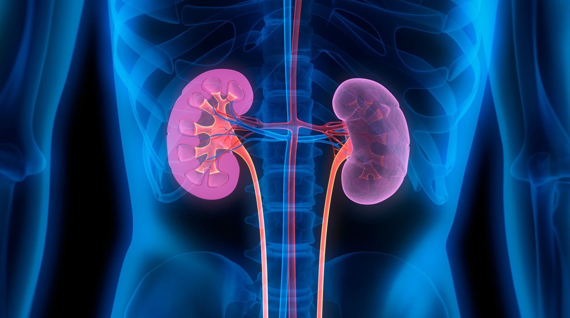 what-foods-can-improve-kidney-function-healthykidneyclub